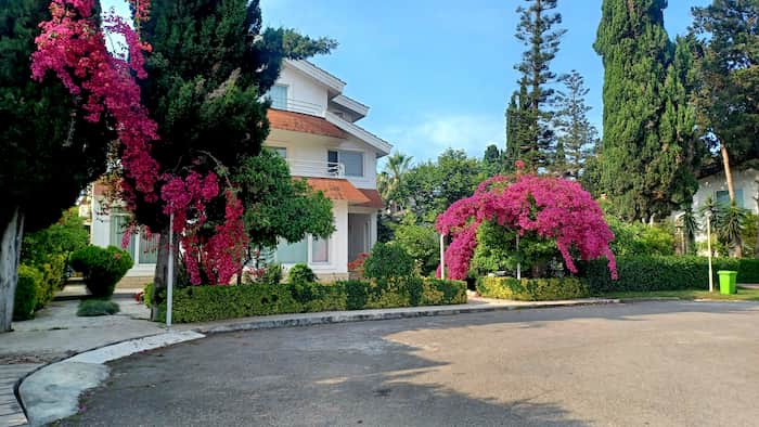 ویلا باغی دریاکنار